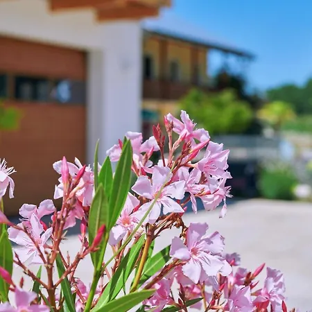Apartment Zwischen Burghausen Und Salzburg